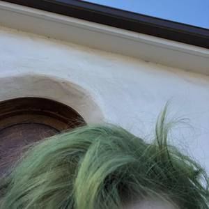 Meet your Posher, Samuel